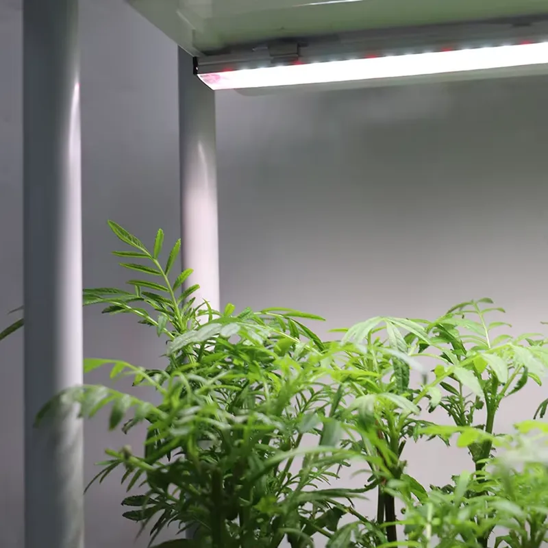 Smart Garden System - กล่องปลูกต้นไม้แบบเคลื่อนย้ายได้ 3 ชั้น พร้อมระบบรดน้ำอัตโนมัติ ระบบปลูกพืชสมุนไพรในร่มพร้อมไฟส่องสว่าง