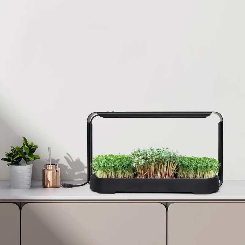 Self Watering Planter - ระบบปลูกผักไมโครกรีนแบบไฮโดรโพนิกพร้อมระบบรดน้ำอัตโนมัติและไฟปลูกพืช - ชุดปลูกต้นไม้ในร่มแบบเป็นมิตรต่อสิ่งแวดล้อมสำหรับโต๊ะทำงาน