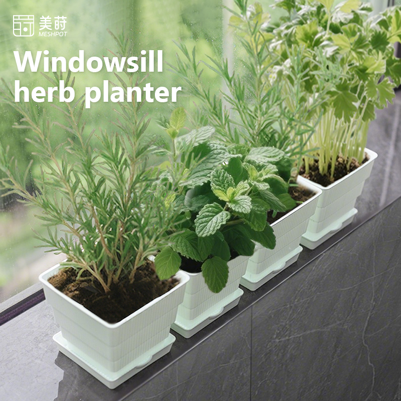 Indoor Garden Kit - Meshpot Windowsill Herb Planter Herb Garden