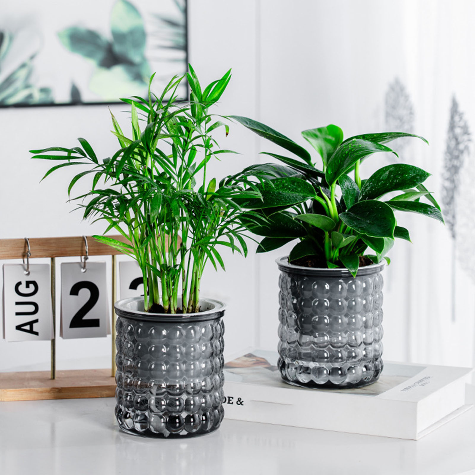 Hydroponic Grow Pod - ใหม่ Self Watering พืช Hydroponic หม้อพลาสติก