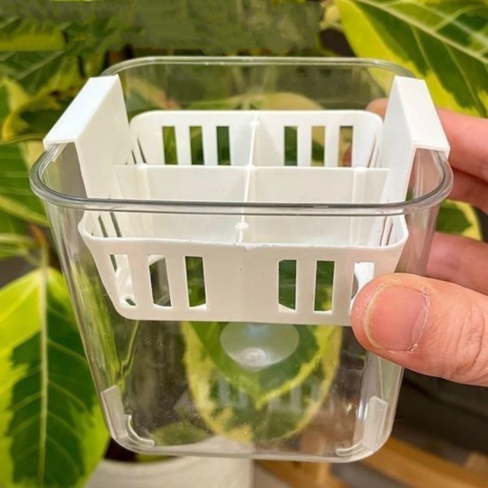 กระถางเพาะชำแบบไฮโดรโปนิกส์ 4  - Hydroponic Grow Pod บทวิจารณ์และราคา