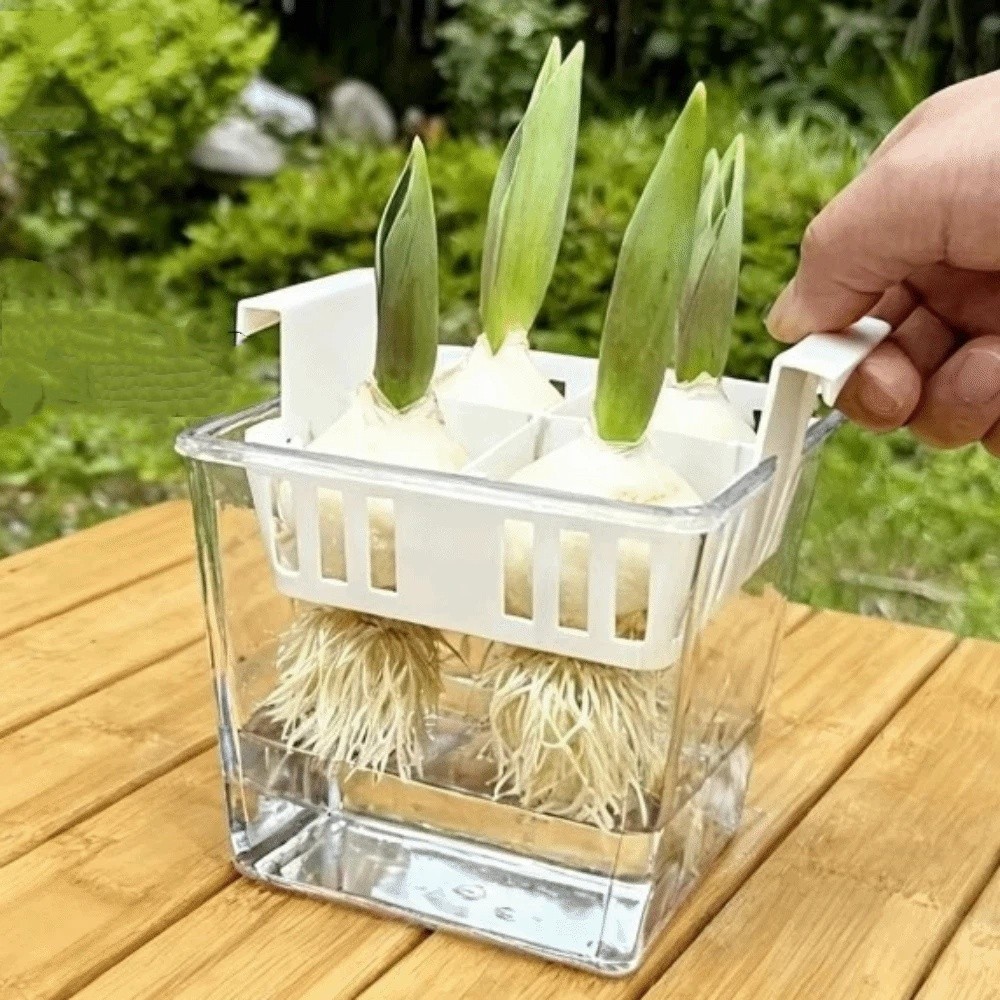 กระถางเพาะชำแบบไฮโดรโปนิกส์ 4  - Hydroponic Grow Pod บทวิจารณ์และราคา