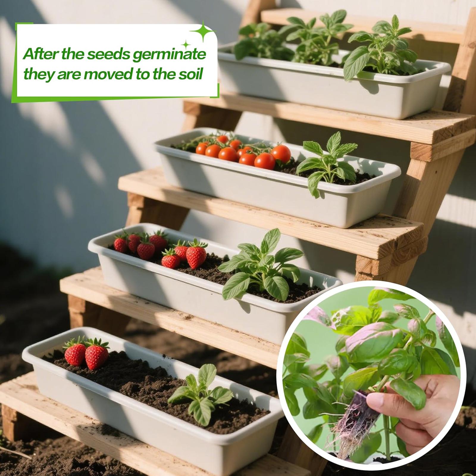 ฟองน้ำเพาะปลูก 50 ชิ้น ฟองน้ำก - Hydroponic Grow Pod บทวิจารณ์และราคา