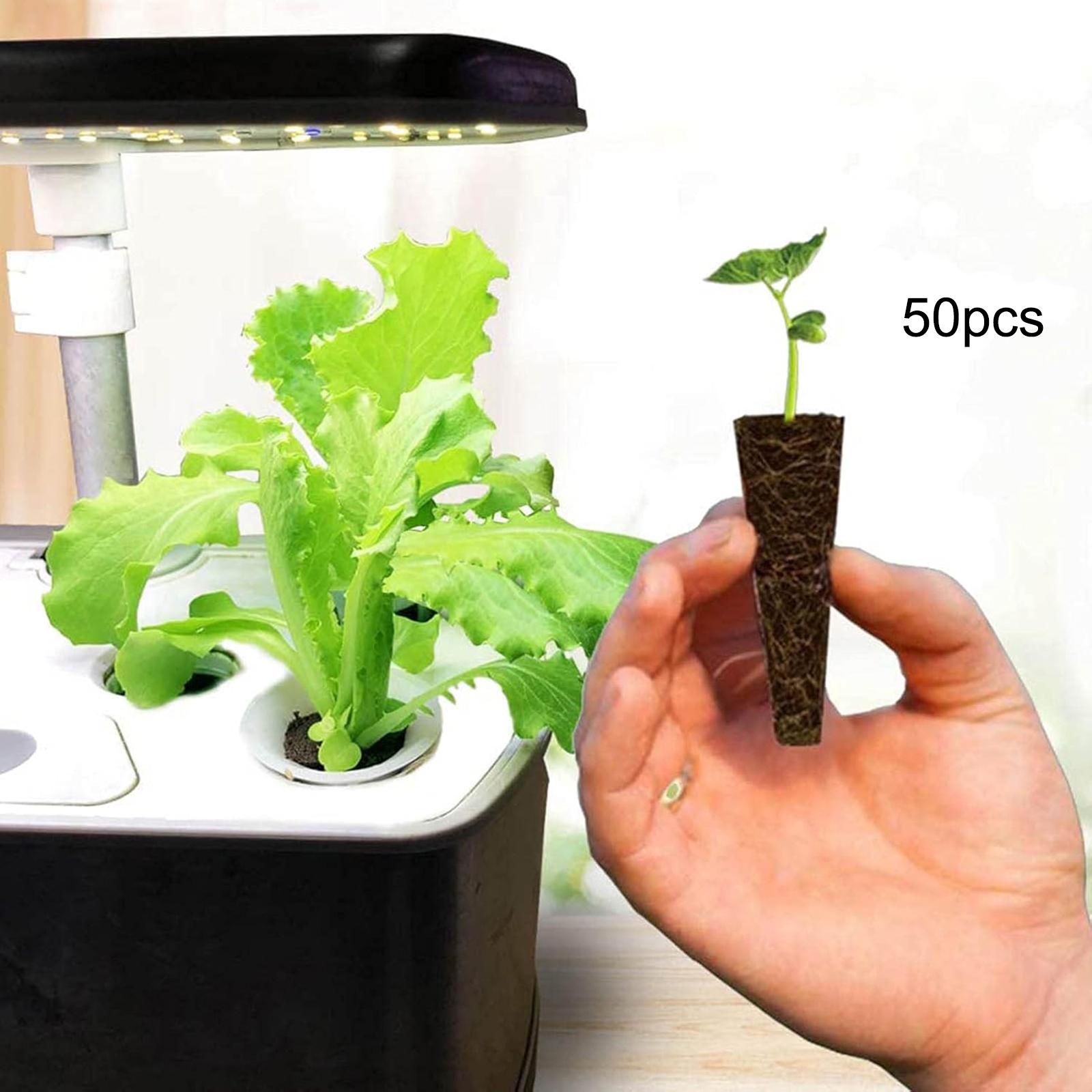 ฟองน้ำเพาะปลูก 50 ชิ้น ฟองน้ำก - Hydroponic Grow Pod บทวิจารณ์และราคา