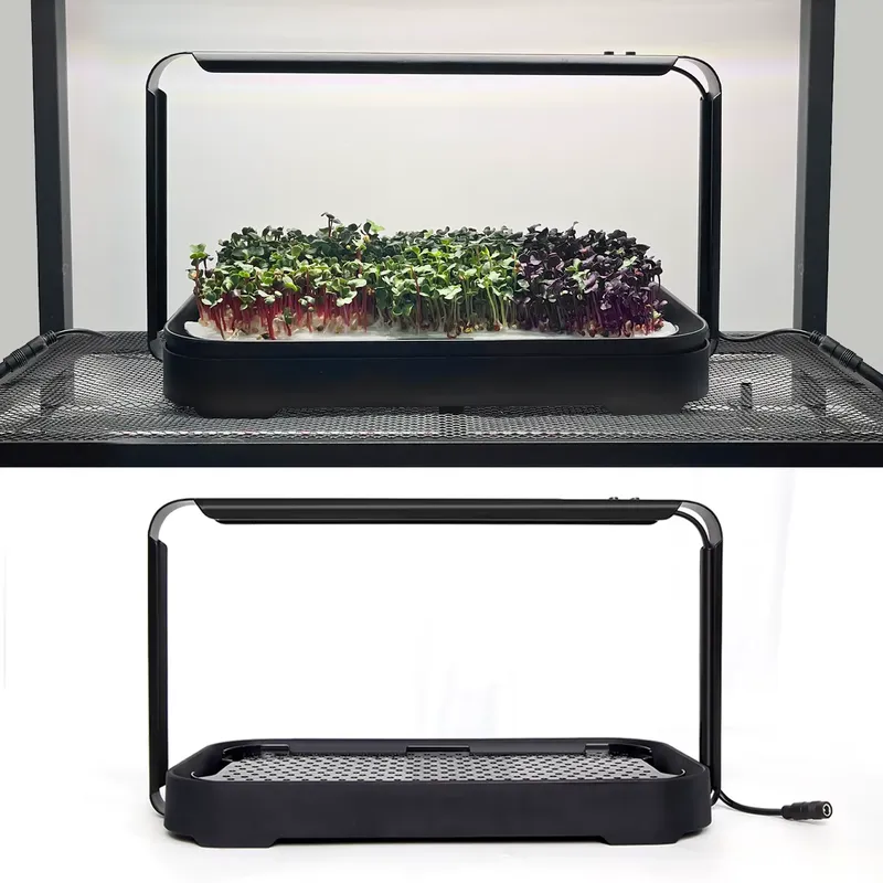ระบบปลูกผักไมโครกรีนแบบไฮโดรโพ - Self Watering Planter บทวิจารณ์และราคา