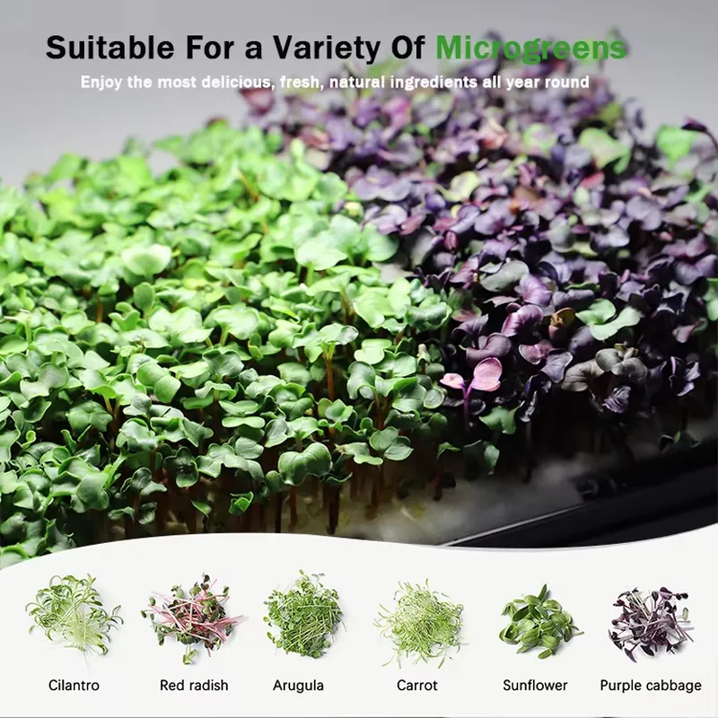 ระบบปลูกผักไมโครกรีนแบบไฮโดรโพ - Self Watering Planter บทวิจารณ์และราคา