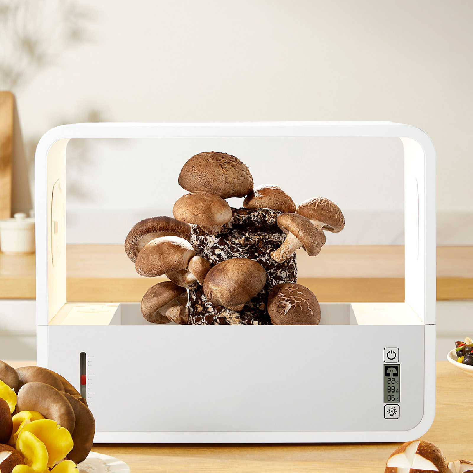 ชุดปลูกเห็ดแบบเต็นท์อัจฉริยะ พ - Grow Light Led บทวิจารณ์และราคา