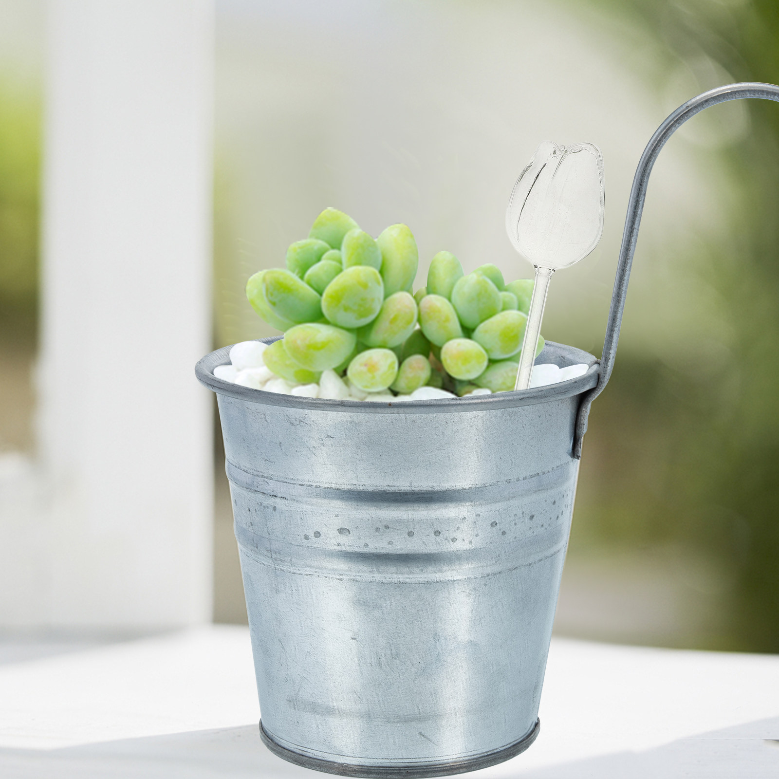 2 ชิ้น ลูกบอลรดน้ำต้นไม้แก้วบอ - Self Watering Planter บทวิจารณ์และราคา