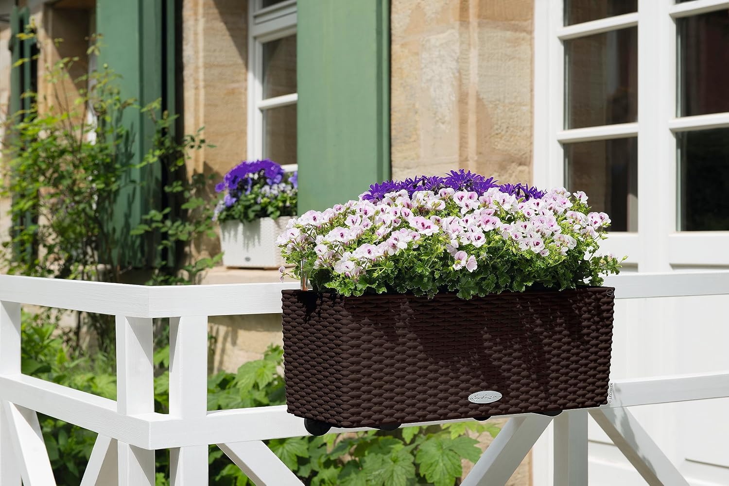 บัลโคเนรา คอทเทจ 50 มอคค่า กระ - Self Watering Planter บทวิจารณ์และราคา