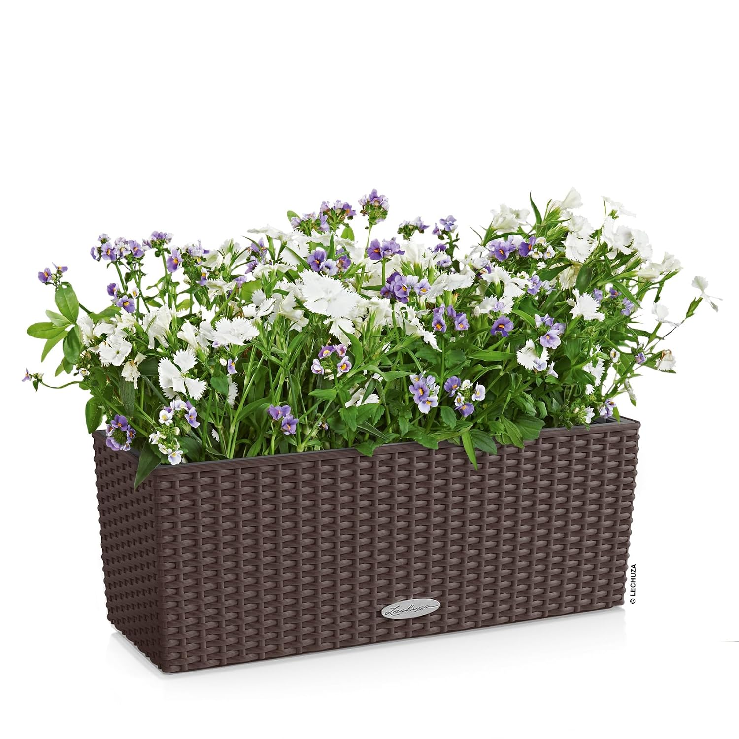 บัลโคเนรา คอทเทจ 50 มอคค่า กระ - Self Watering Planter บทวิจารณ์และราคา