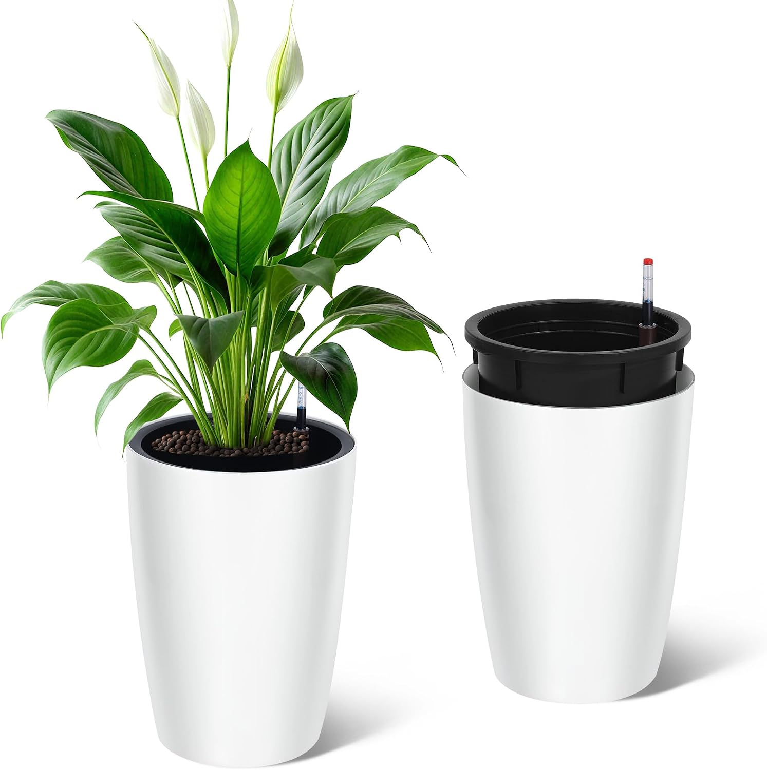 Tacleekii กระถางต้นไม้สูง 16 น - Indoor Garden Kit บทวิจารณ์และราคา