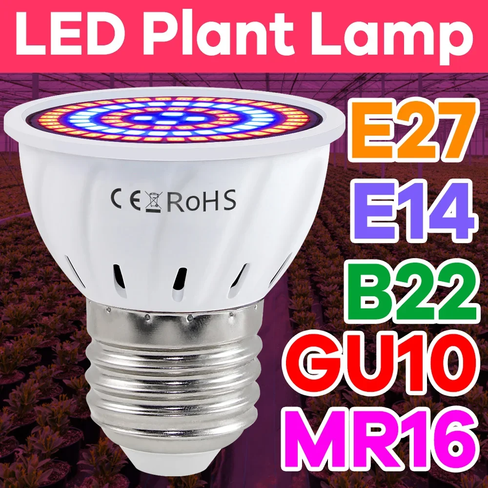 หลอดไฟปลูกต้นไม้ LED 220V ขั้ว - Plant Grow Light Full Spectrum บทวิจารณ์และราคา