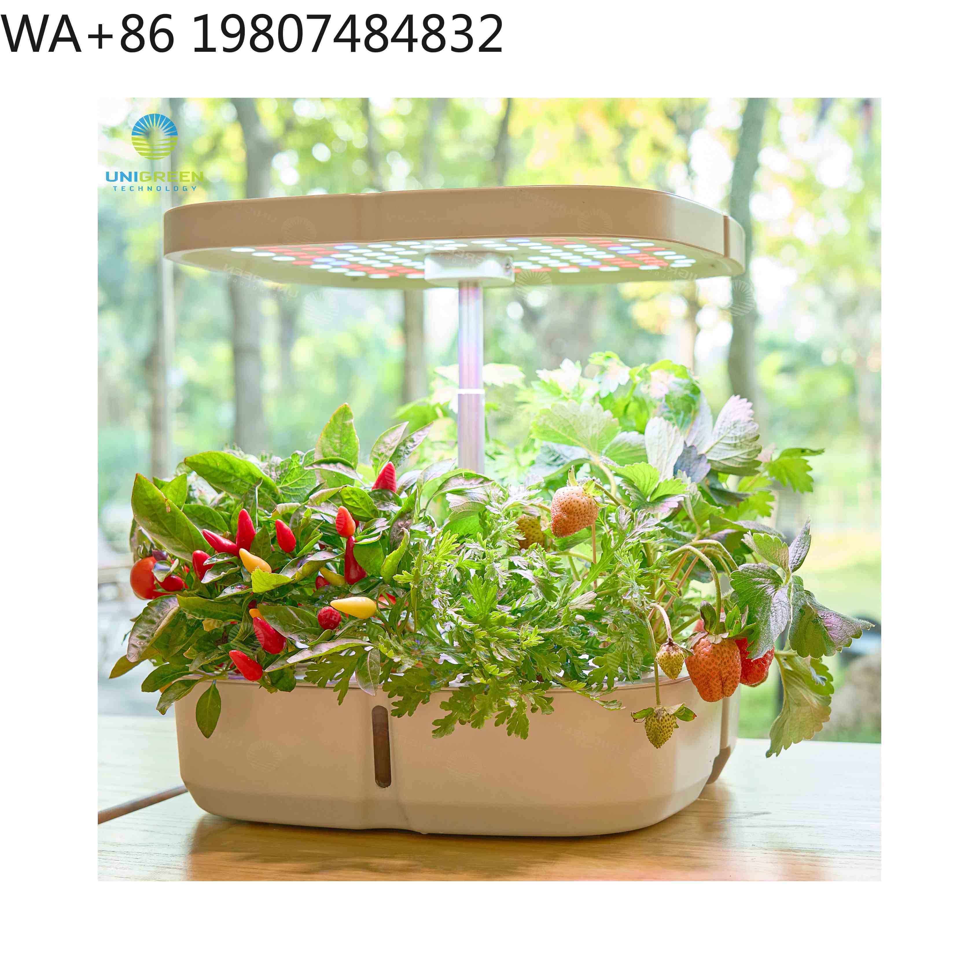 กล่องปลูกพืชไฮโดรโปนิกส์ขนาดเล - Hydroponic Grow Pod บทวิจารณ์และราคา