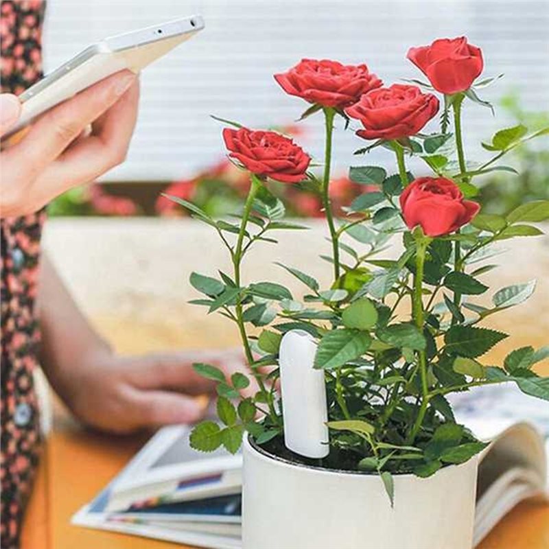ABVG-Flora เครื่องวัดสมาร์ทสำห - Plant Monitor บทวิจารณ์และราคา