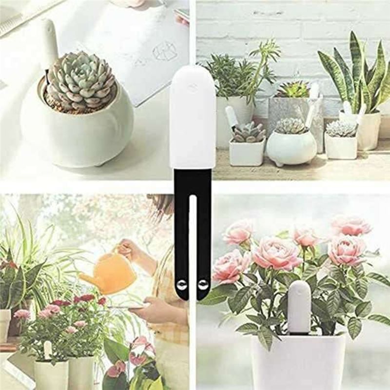 ABVG-Flora เครื่องวัดสมาร์ทสำห - Plant Monitor บทวิจารณ์และราคา