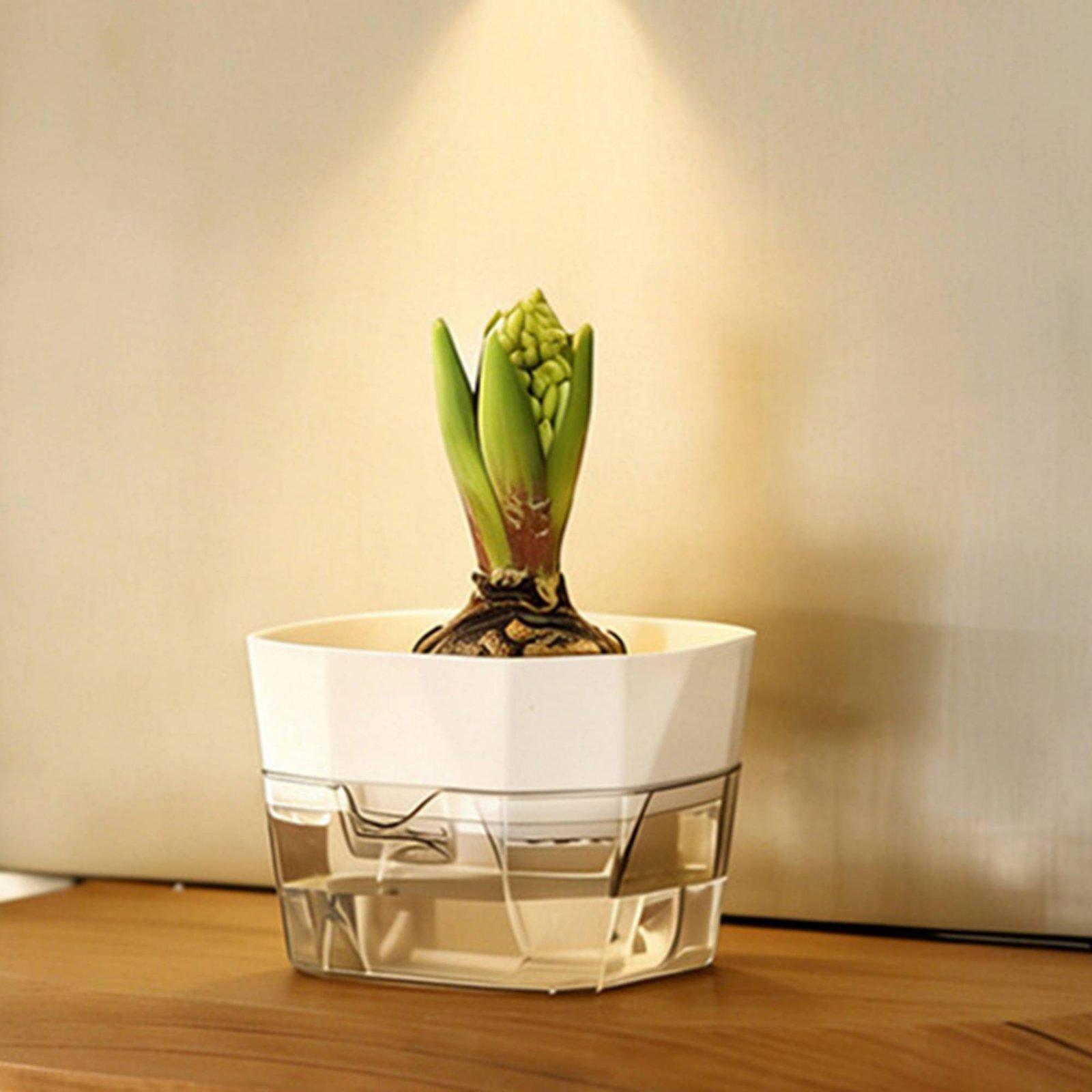 แจกันปลูกพืชแบบไฮโดรโปนิกส์สอง - Self Watering Planter บทวิจารณ์และราคา