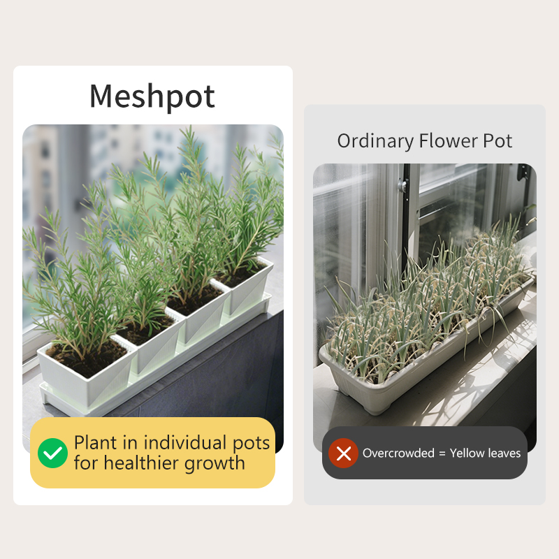 Meshpot Windowsill Herb Plante - Indoor Garden Kit บทวิจารณ์และราคา