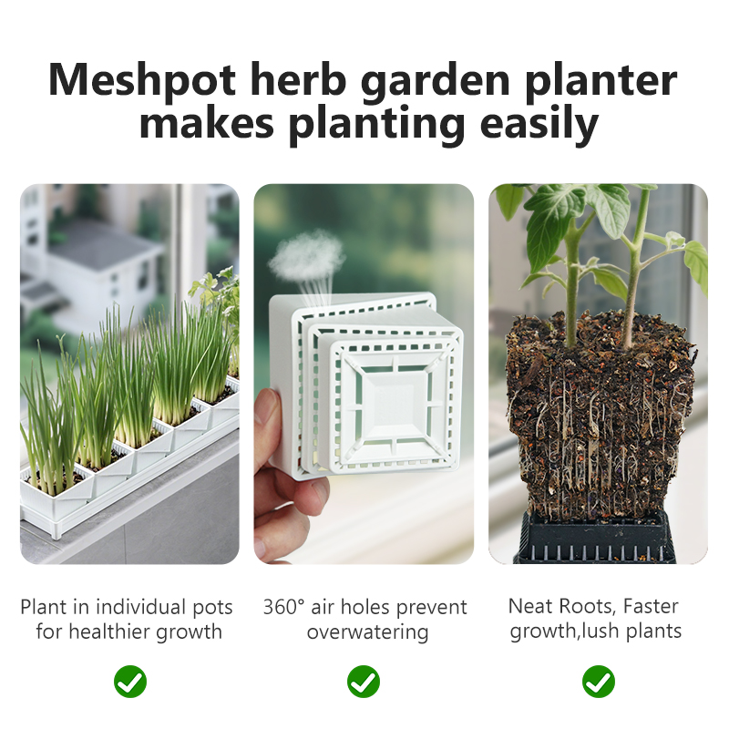 Meshpot Windowsill Herb Plante - Indoor Garden Kit บทวิจารณ์และราคา