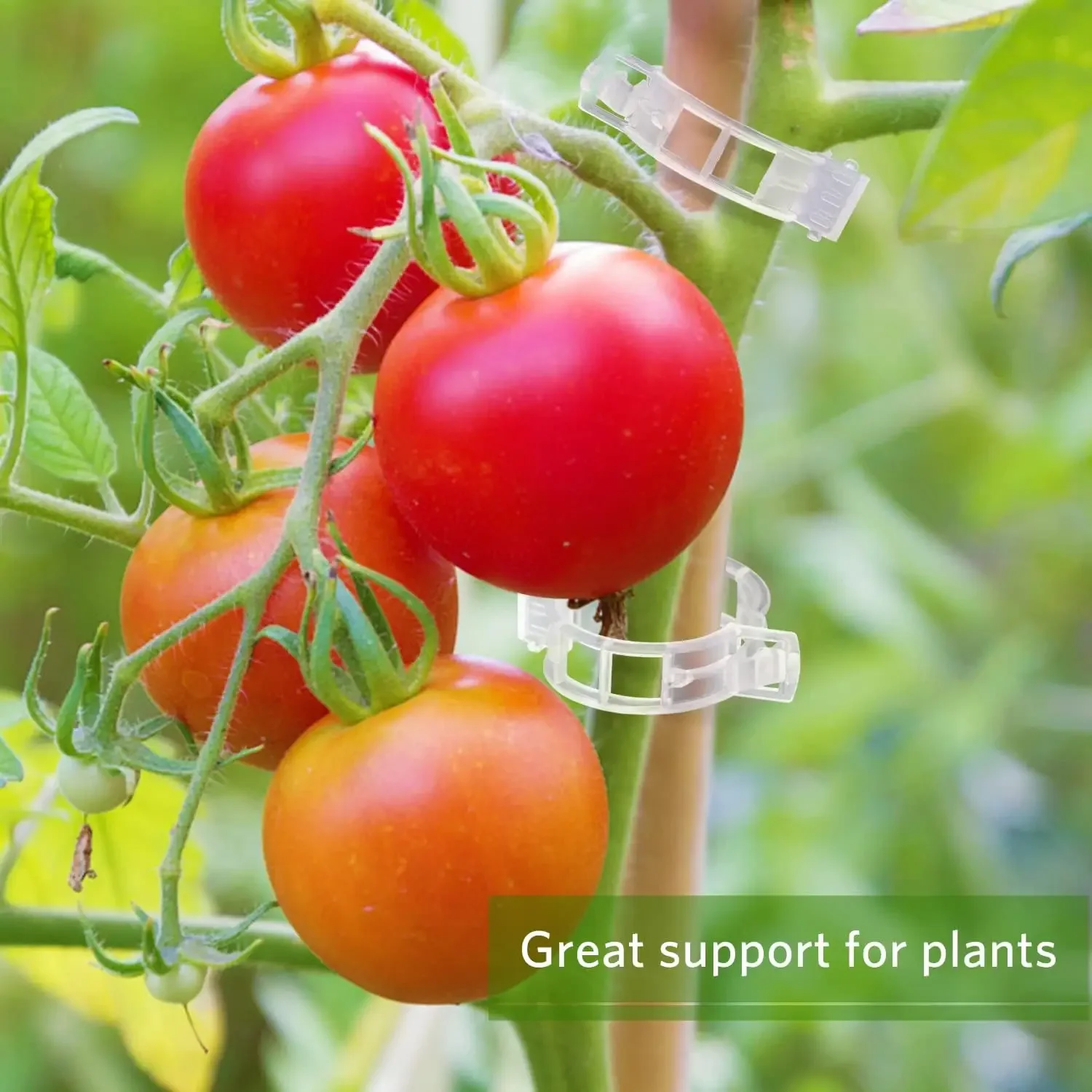 คลิปยึดต้นไม้แบบใช้ซ้ำได้ คลิป - Smart Garden Kit บทวิจารณ์และราคา