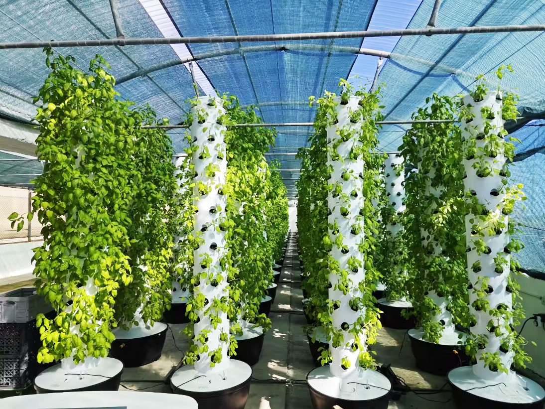 ระบบปลูกพืชไฮโดรโปนิกส์แนวตั้ง - Hydroponic Tower บทวิจารณ์และราคา