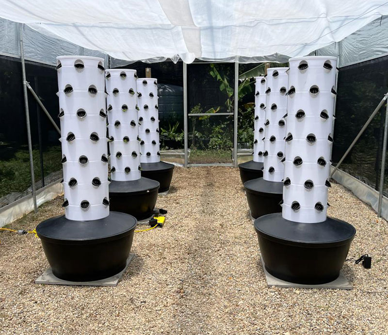 ระบบปลูกพืชไฮโดรโปนิกส์แนวตั้ง - Hydroponic Tower บทวิจารณ์และราคา