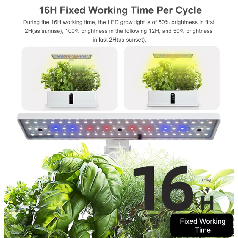 ระบบปลูกพืชไฮโดรโพนิกส์อัจฉริย - Smart Garden System บทวิจารณ์และราคา