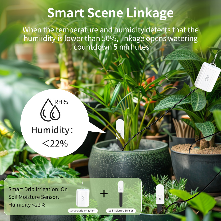 เครื่องวัดความชื้นและอุณหภูมิด - Plant Sensor บทวิจารณ์และราคา