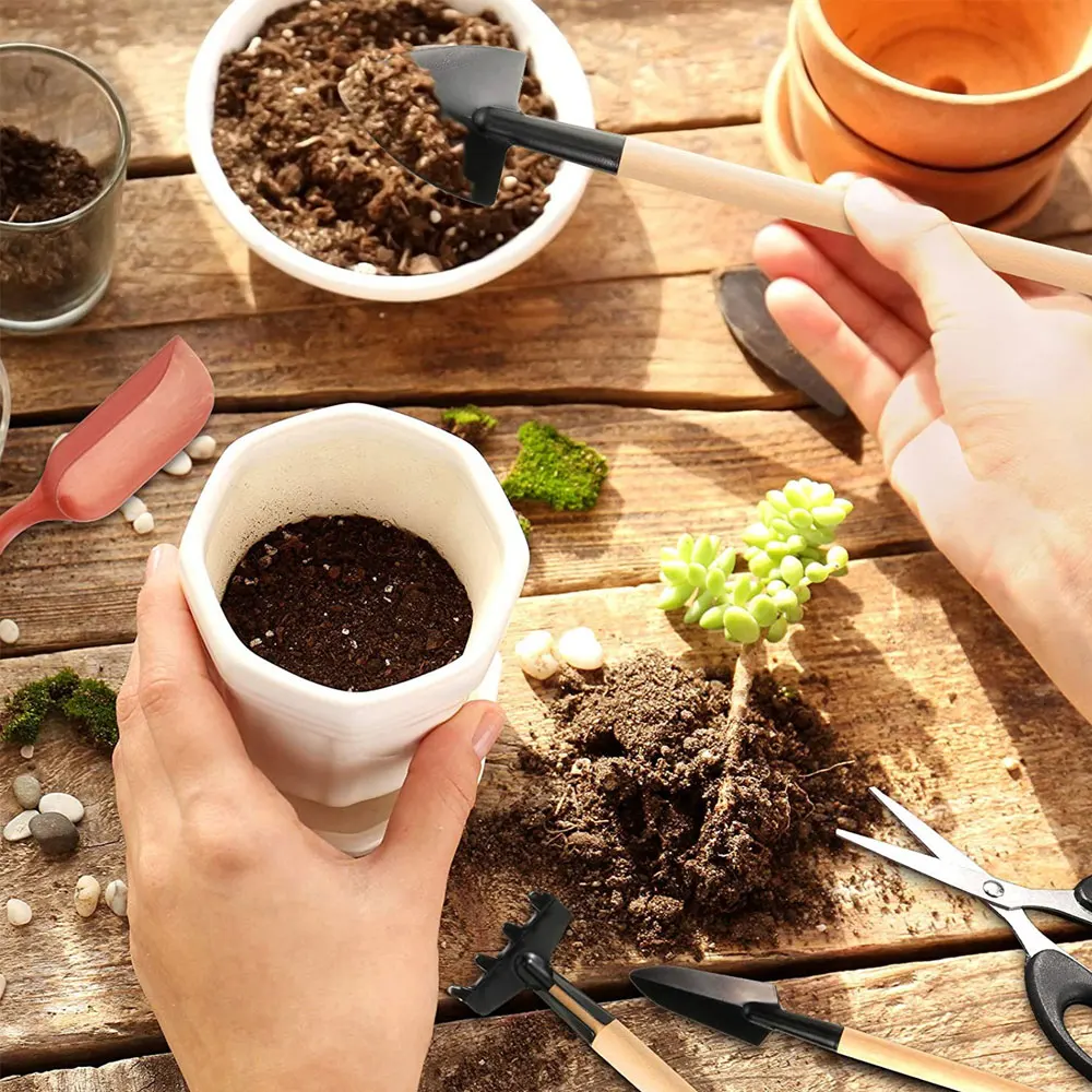 ชุดเครื่องมือปลูกพืชอวบน้ำ13ชิ - Indoor Garden Kit บทวิจารณ์และราคา