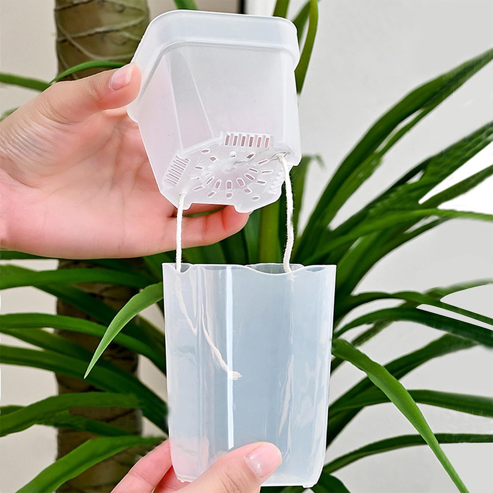 กระถางปลูกต้นไม้แบบรดน้ำเอง 16 - Self Watering Planter บทวิจารณ์และราคา
