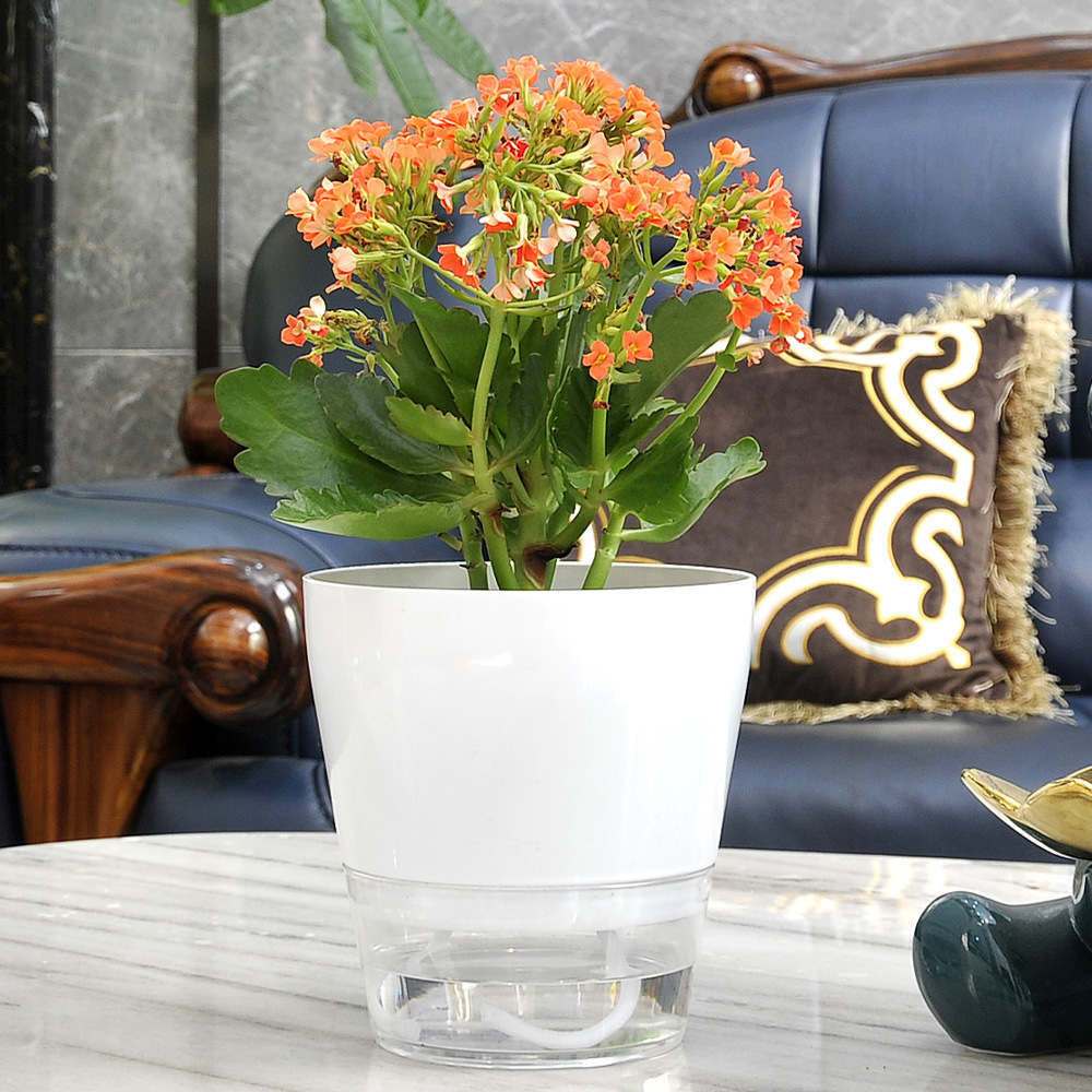 ดอกไม้ขี้เกียจพร้อมรูระบายน้ํา - Self Watering Planter บทวิจารณ์และราคา
