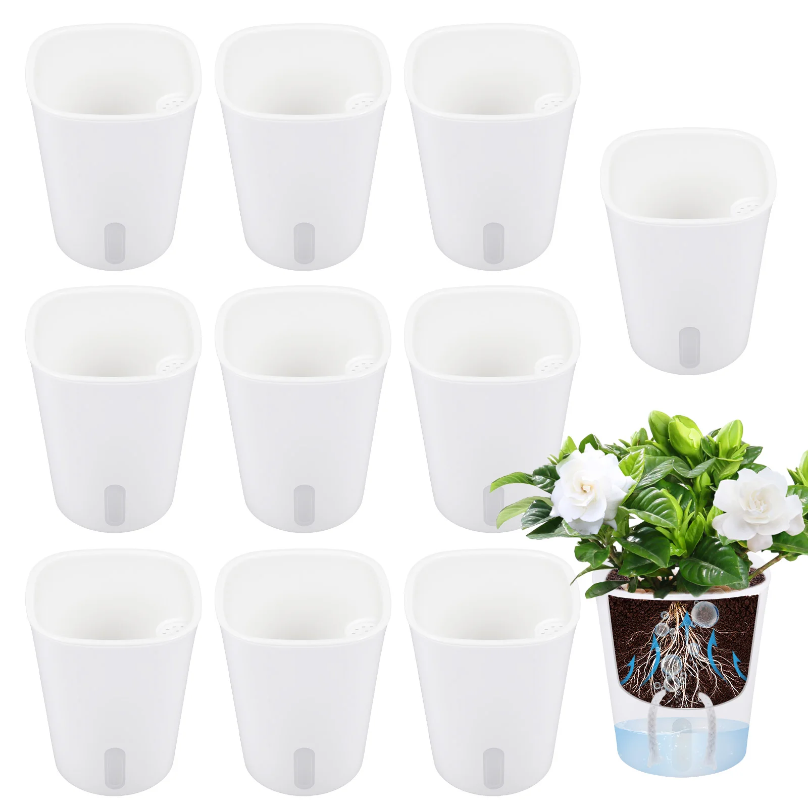 กระถางต้นไม้แบบรดน้ำเองได้ 10  - Hydroponic Grow Pod บทวิจารณ์และราคา