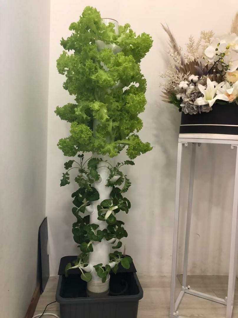 หอปลูกพืชแนวตั้งแบบไฮโดรโปนิกส - Hydroponic Tower บทวิจารณ์และราคา