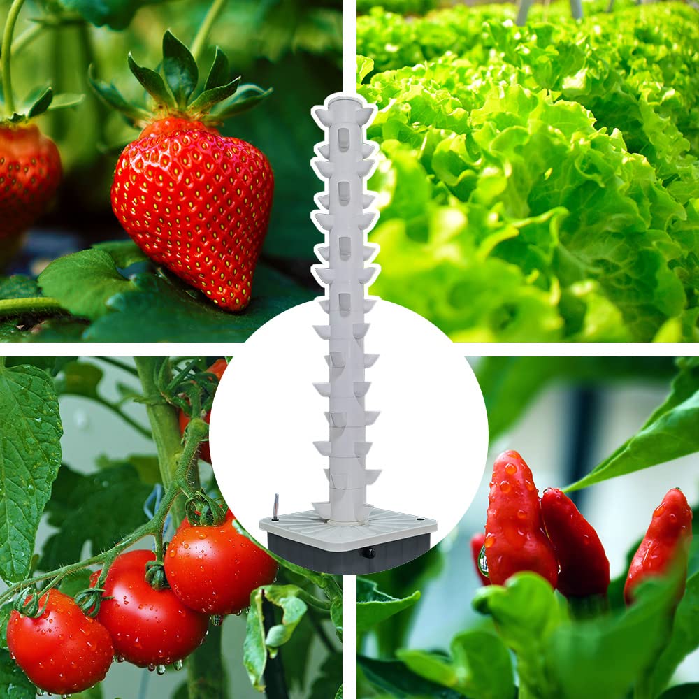 หอปลูกพืชแนวตั้งแบบไฮโดรโปนิกส - Hydroponic Tower บทวิจารณ์และราคา