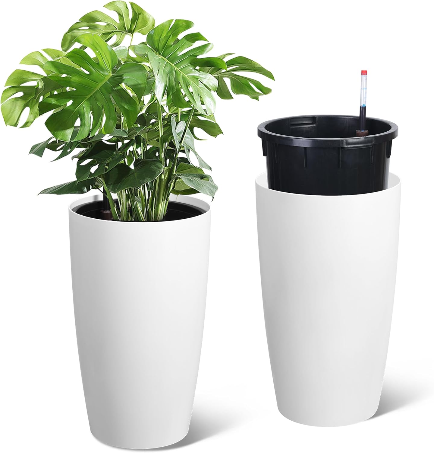 ชุดกระถางต้นไม้ทรงสูงแบบรดน้ำเ - Indoor Garden Kit บทวิจารณ์และราคา