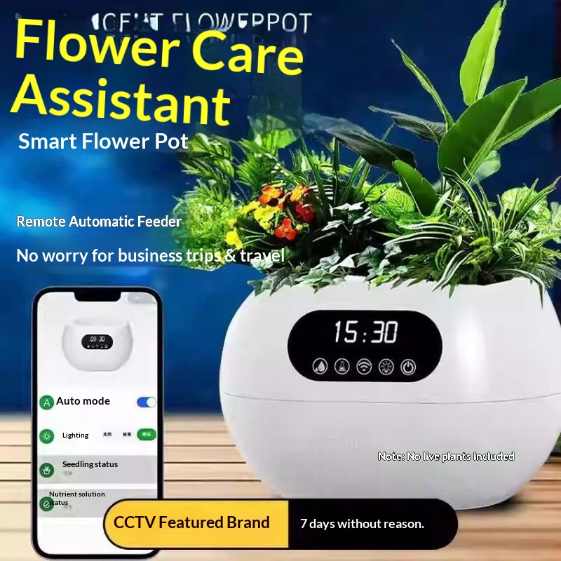 กระถางดอกไม้อัจฉริยะ AI รดน้ำอ - Automatic Watering บทวิจารณ์และราคา