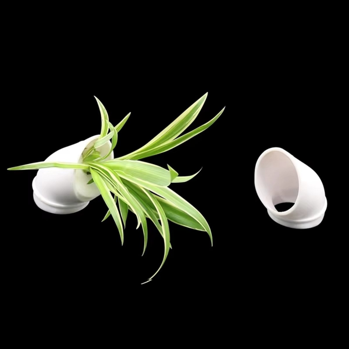กระถางปลูกพืชไฮโดรโปนิกส์แบบแน - Hydroponic Tower บทวิจารณ์และราคา