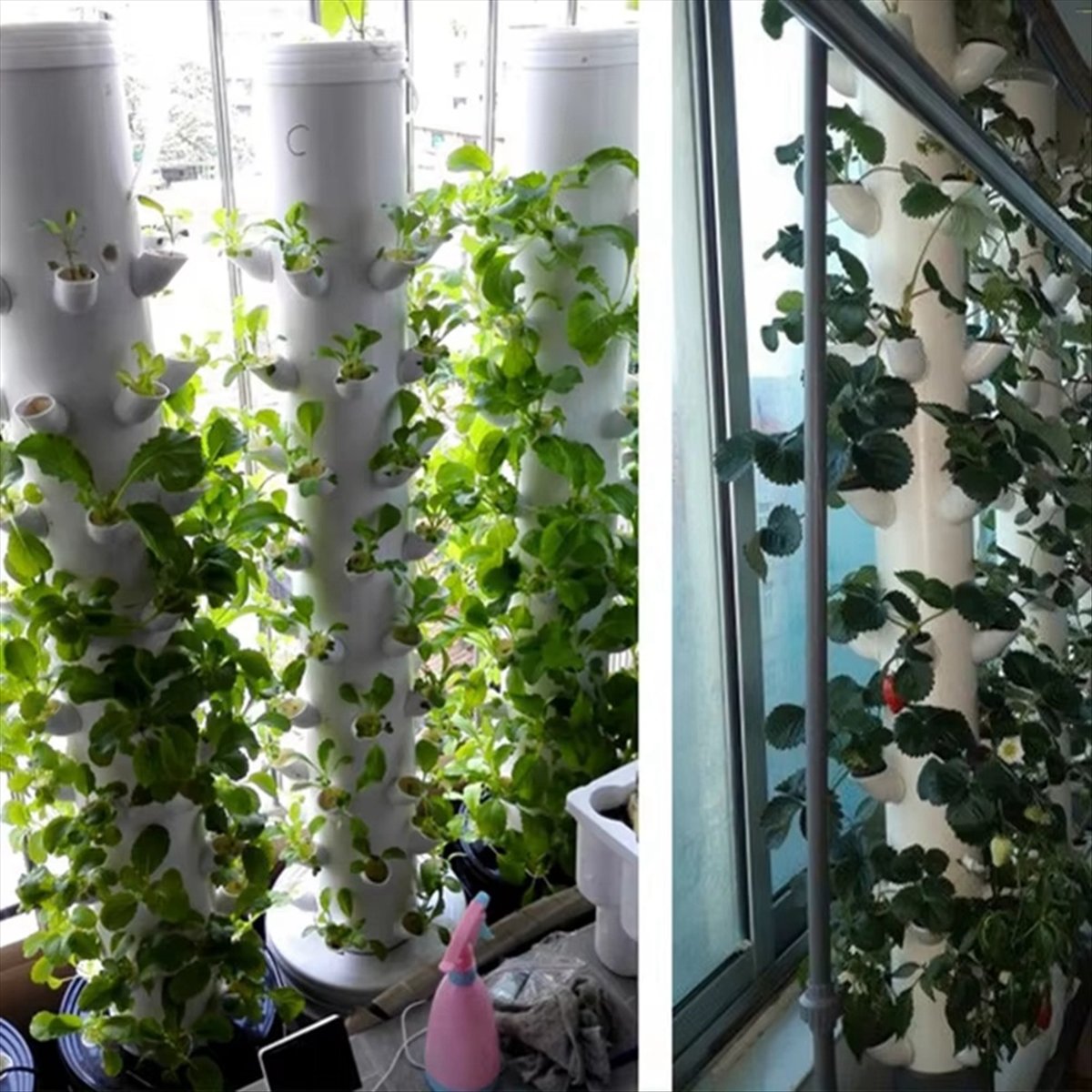 กระถางปลูกพืชไฮโดรโปนิกส์แบบแน - Hydroponic Tower บทวิจารณ์และราคา