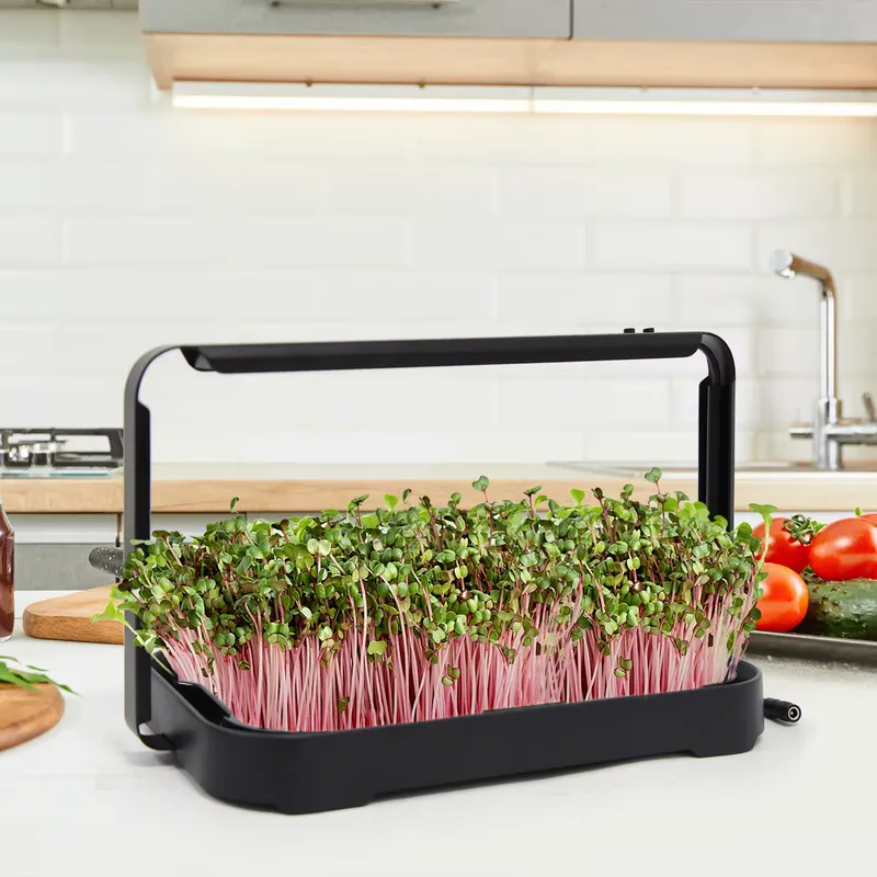 ถาดปลูกผักไฮโดรโพนิกสำหรับปลูก - Smart Garden System บทวิจารณ์และราคา