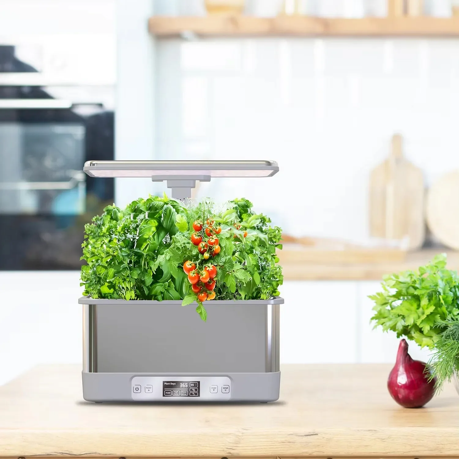 ชุดปลูกพืชในร่มแบบไฮโดรโปนิกส์ - Hydroponic Grow Pod บทวิจารณ์และราคา