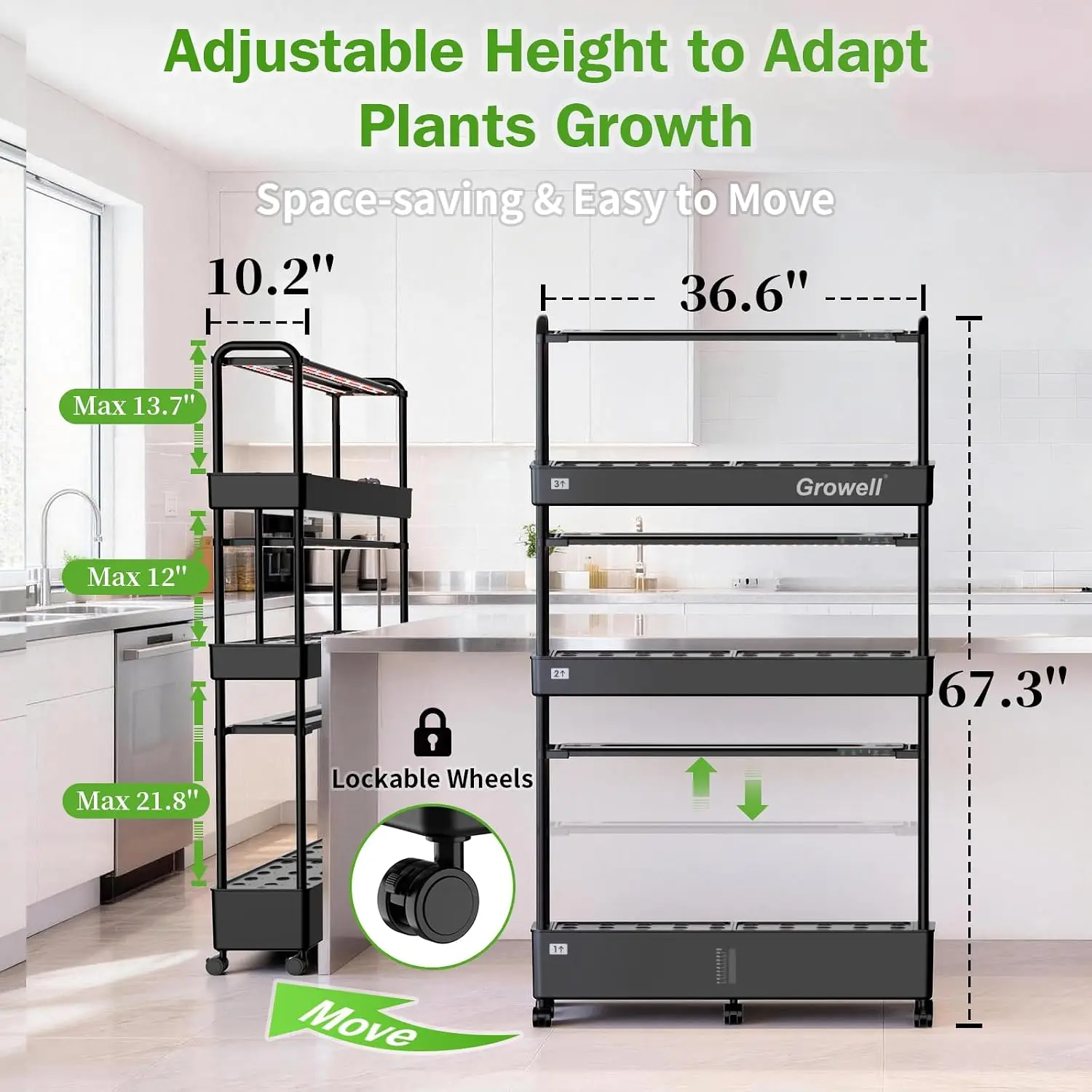 ชุดระบบปลูกพืชไฮโดรโปนิกส์ขนาด - Hydroponic Grow Pod บทวิจารณ์และราคา