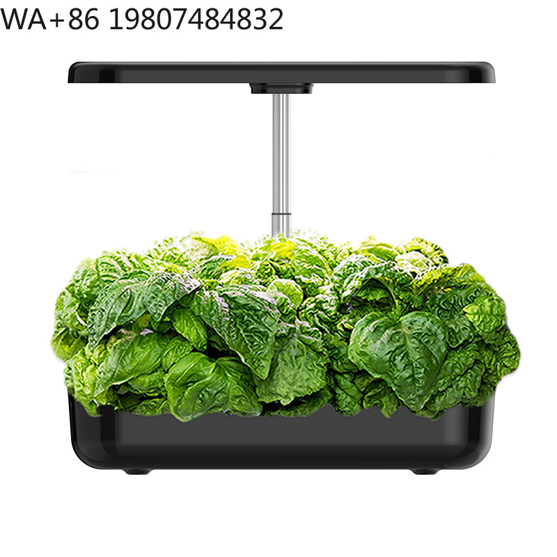 ชุดปลูกพืชไร้ดินแบบไฮโดรโปนิกส - Hydroponic Grow Pod บทวิจารณ์และราคา