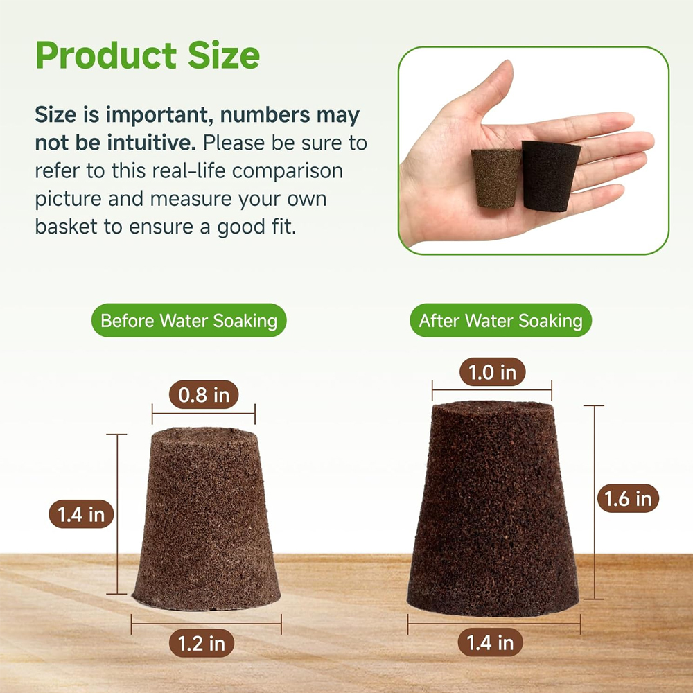 ฟองน้ำปลูกพืชแบบไฮโดรโพนิก 20  - Hydroponic Grow Pod บทวิจารณ์และราคา