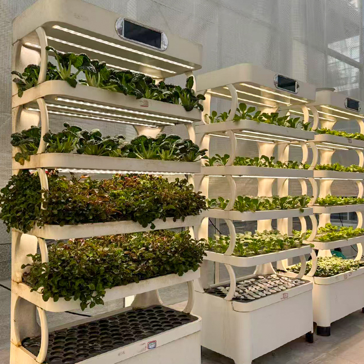 กระถางปลูกต้นไม้ในร่มอัจฉริยะ  - Smart Garden System บทวิจารณ์และราคา