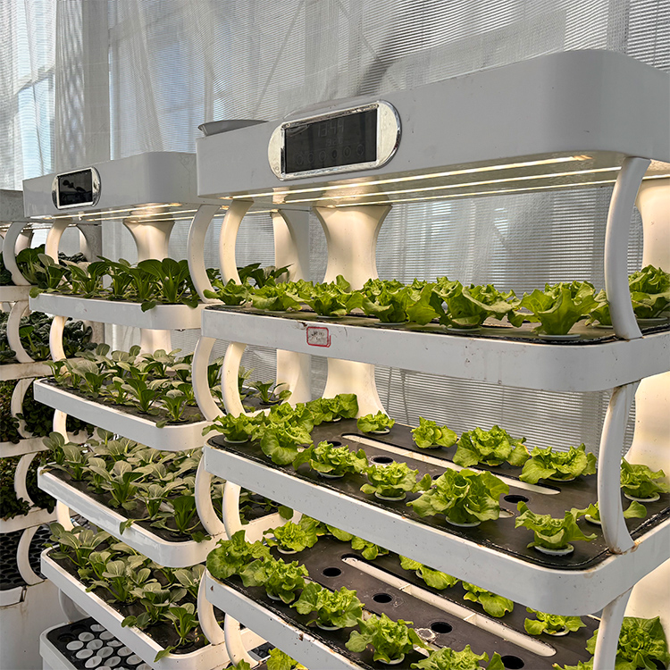 กระถางปลูกต้นไม้ในร่มอัจฉริยะ  - Smart Garden System บทวิจารณ์และราคา